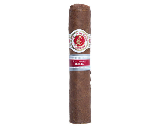 La Flor de Cano Casanova Cigar (Ex. Italia 2016)