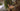 cuban cigars and yoga tranquility serenity and relaxation egm cigars